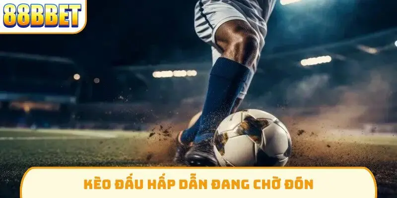 Kèo đấu hấp dẫn đang chờ đón